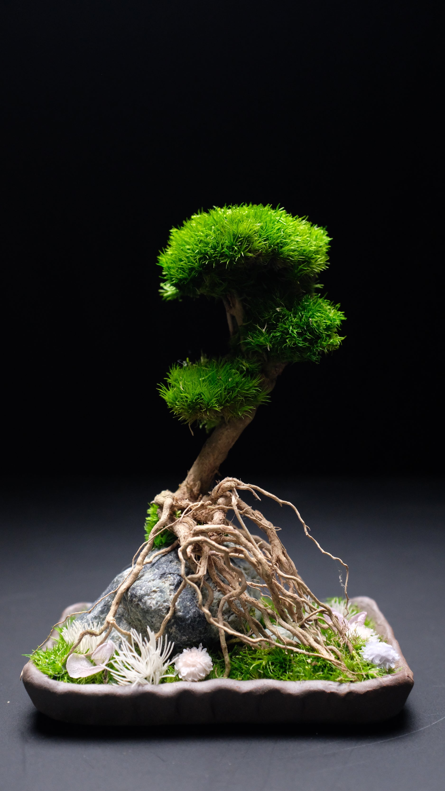 Slow Hill - Small edition (Preserved Plants)