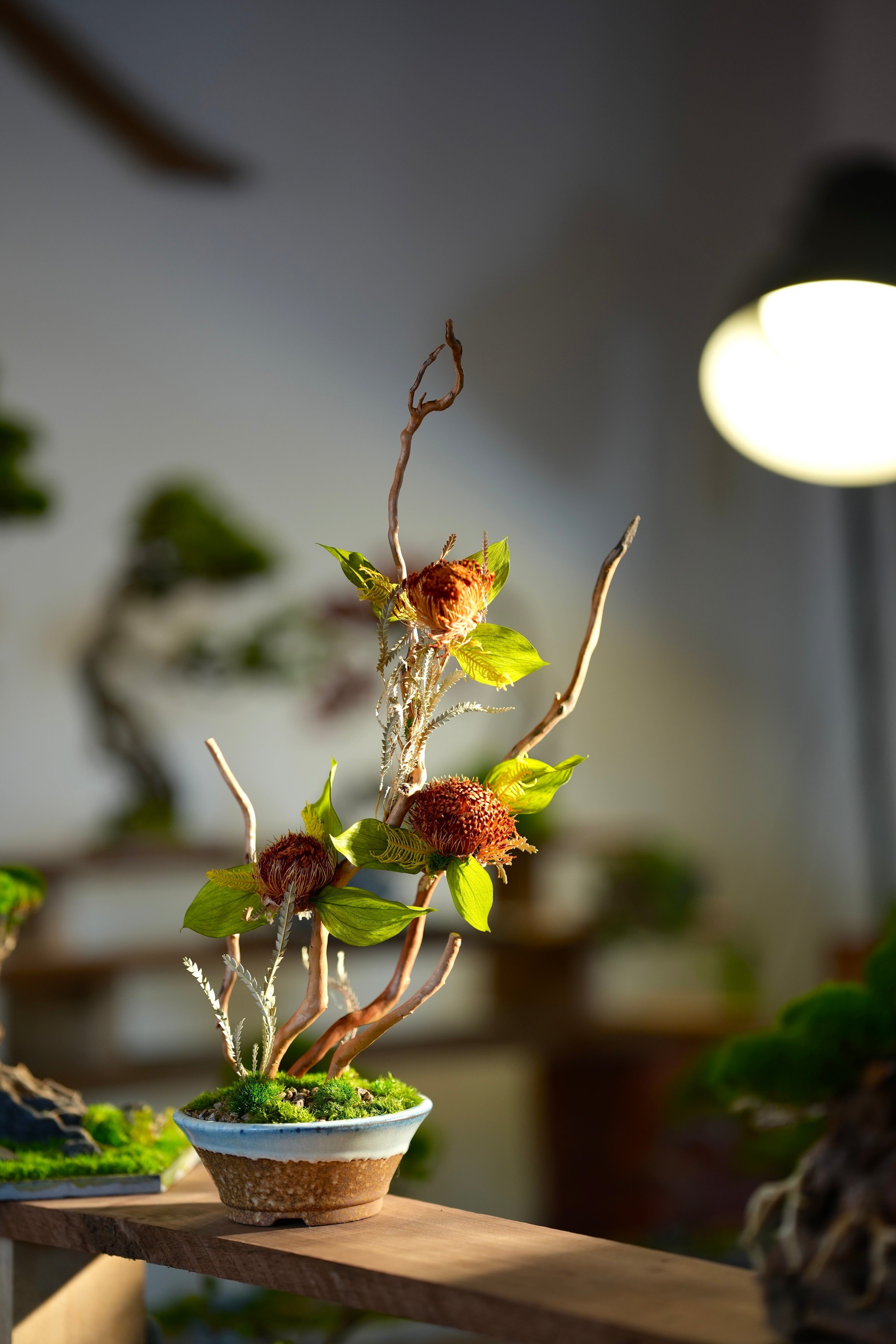 Children of the Forest - Large version (Preserved Plants)