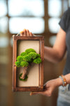 A Small Tree in the East - Wall Hanging edition (Preserved Plants)