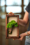 A Small Tree in the East - Wall Hanging edition (Preserved Plants)