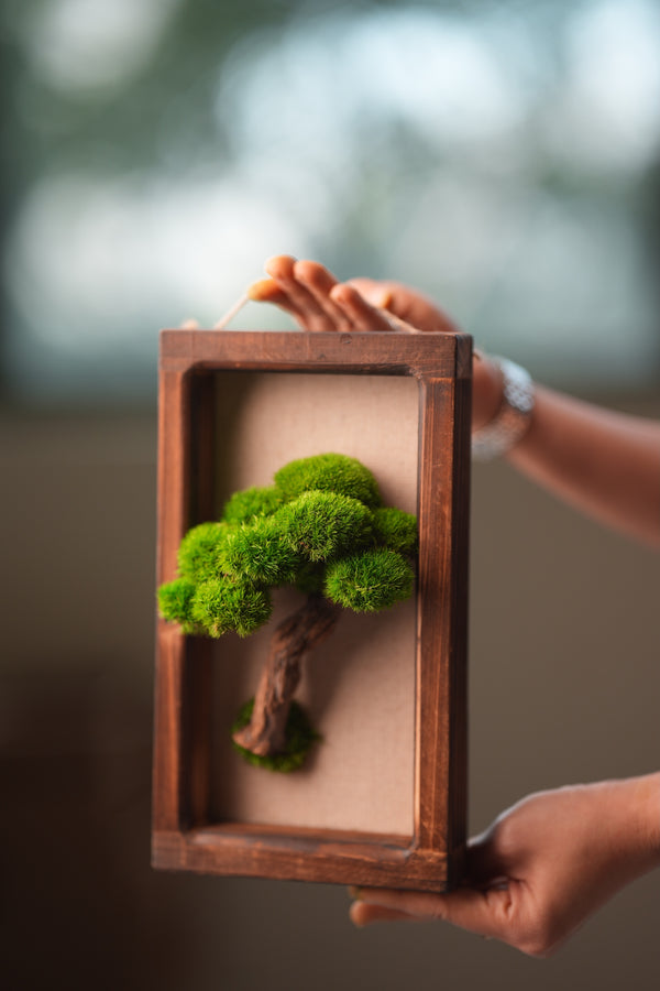 A Small Tree in the East - Wall Hanging edition (Preserved Plants)