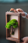 A Small Tree in the East - Wall Hanging edition (Preserved Plants)