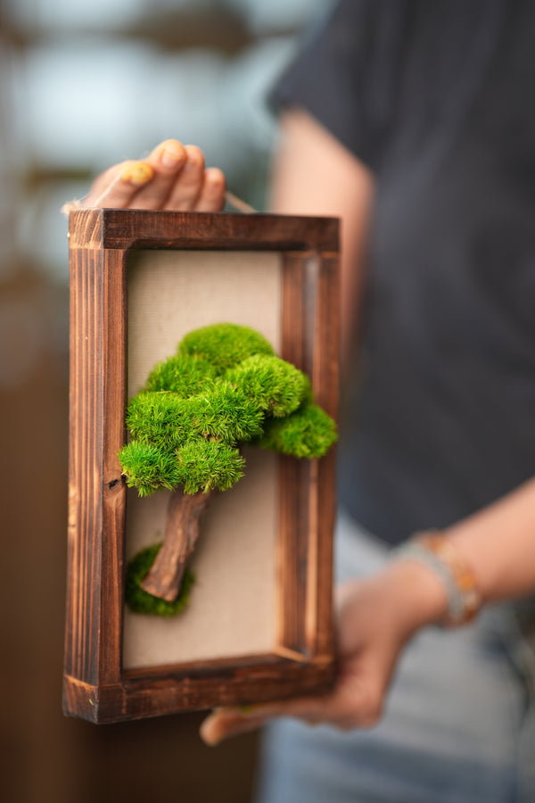 A Small Tree in the East - Wall Hanging edition (Preserved Plants)