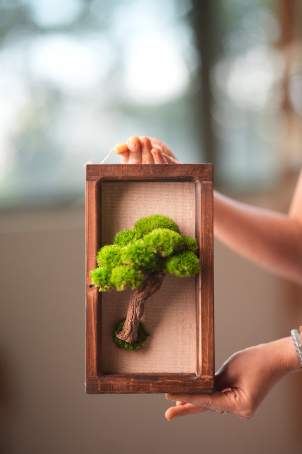 A Small Tree in the East - Wall Hanging edition (Preserved Plants)