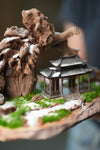 Blackwood Cliff - A Path in the East - Snowfall (Preserved Plants)