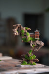Blackwood Cliff (Preserved Plants)