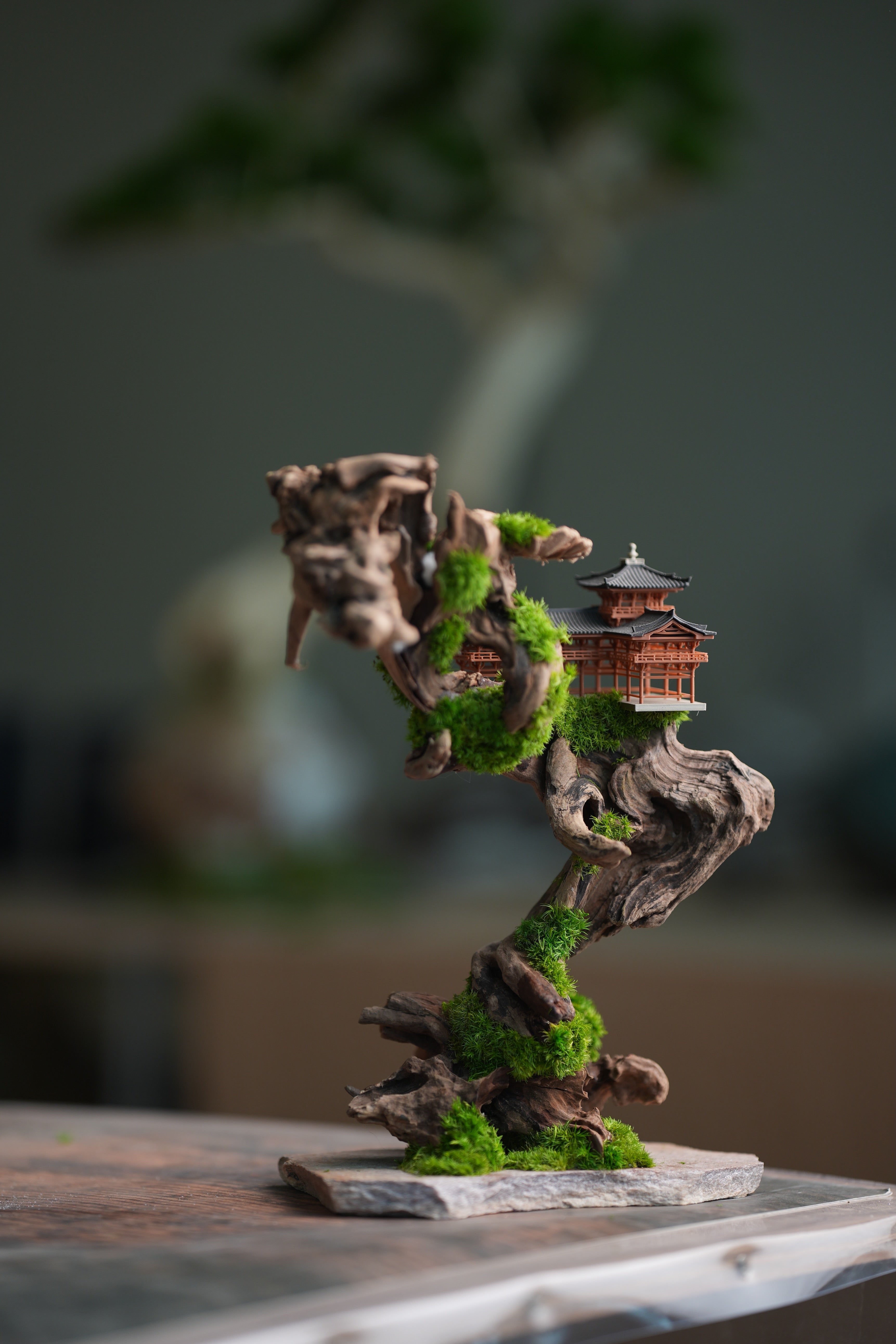 Blackwood Cliff (Preserved Plants)