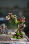 Blackwood Cliff (Preserved Plants)