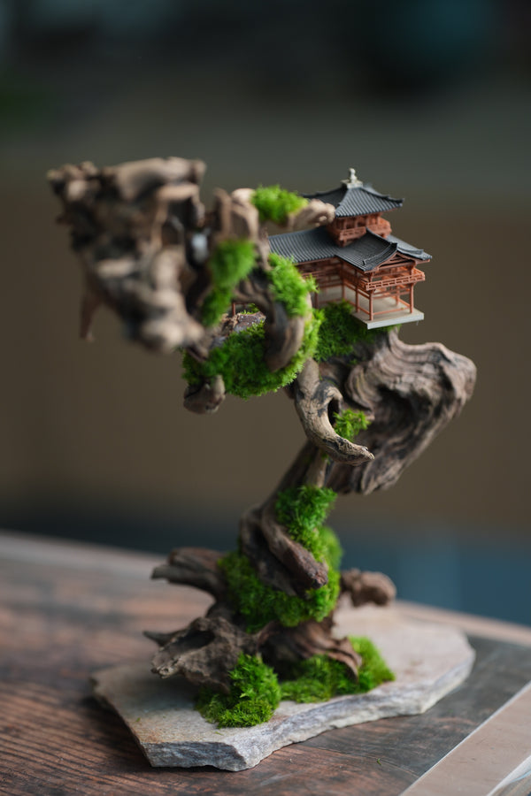 Blackwood Cliff (Preserved Plants)
