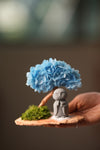 A Small Tree in the East - Purple Dream - Journeyman (Preserved Plants)
