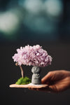 A Small Tree in the East - Lavender Mist - Journeyman (Preserved Plants)