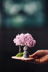 A Small Tree in the East - Lavender Mist - Journeyman (Preserved Plants)