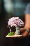 A Small Tree in the East - Lavender Mist - Journeyman (Preserved Plants)