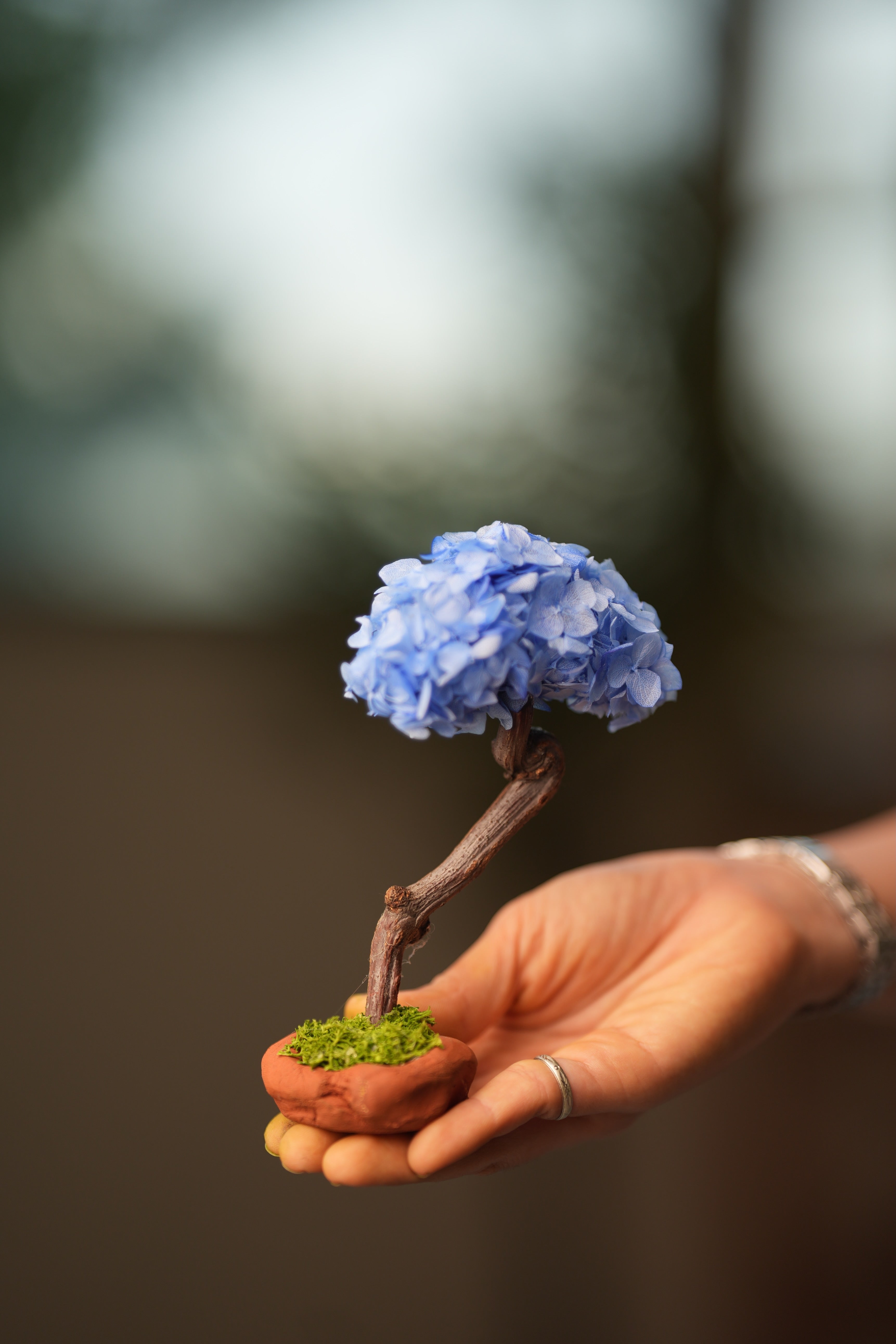 A Small Tree in the East - Purple Dream (Preserved Plants)