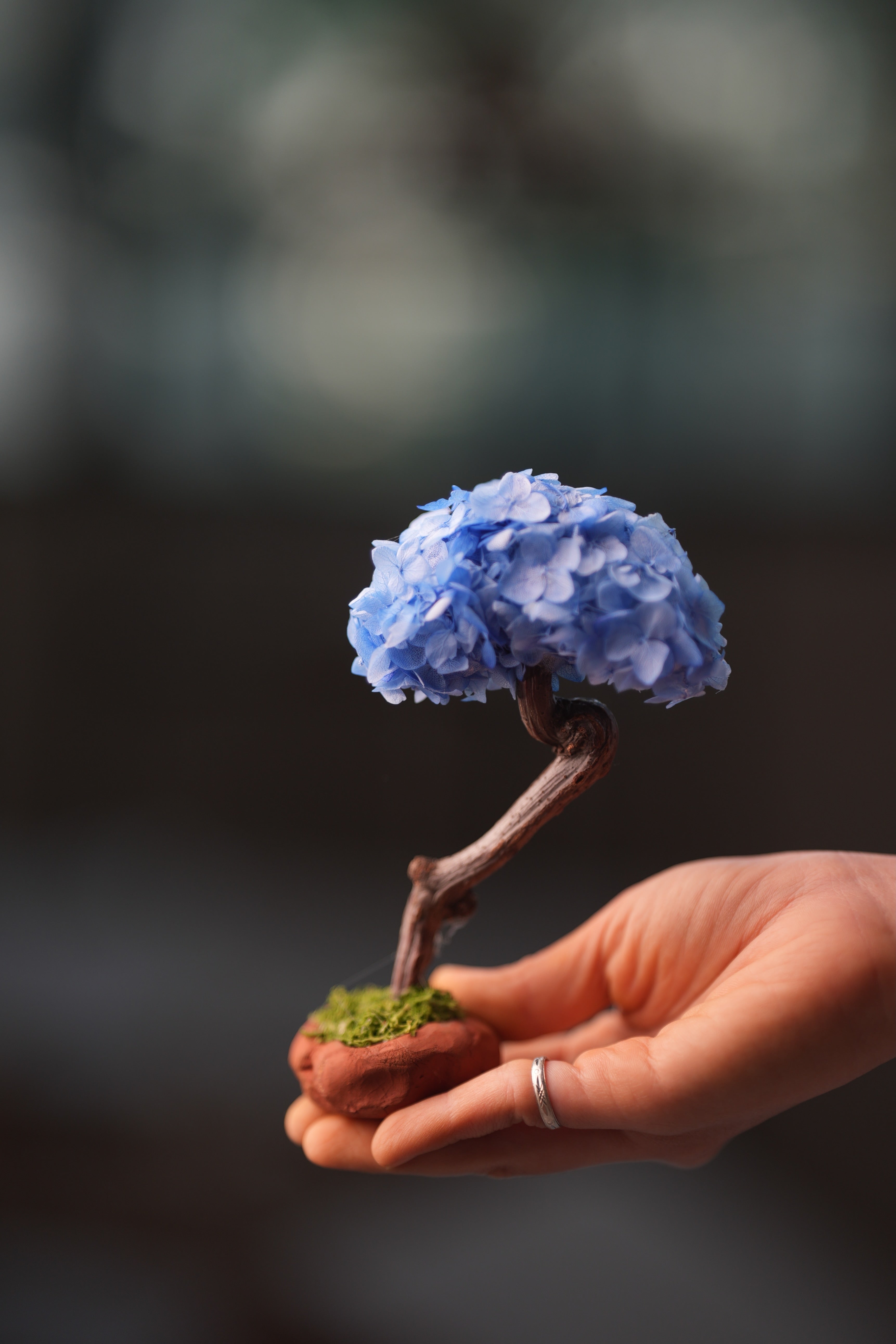 A Small Tree in the East - Purple Dream (Preserved Plants)