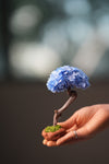 A Small Tree in the East - Purple Dream (Preserved Plants)