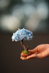 A Small Tree in the East - Purple Dream (Preserved Plants)