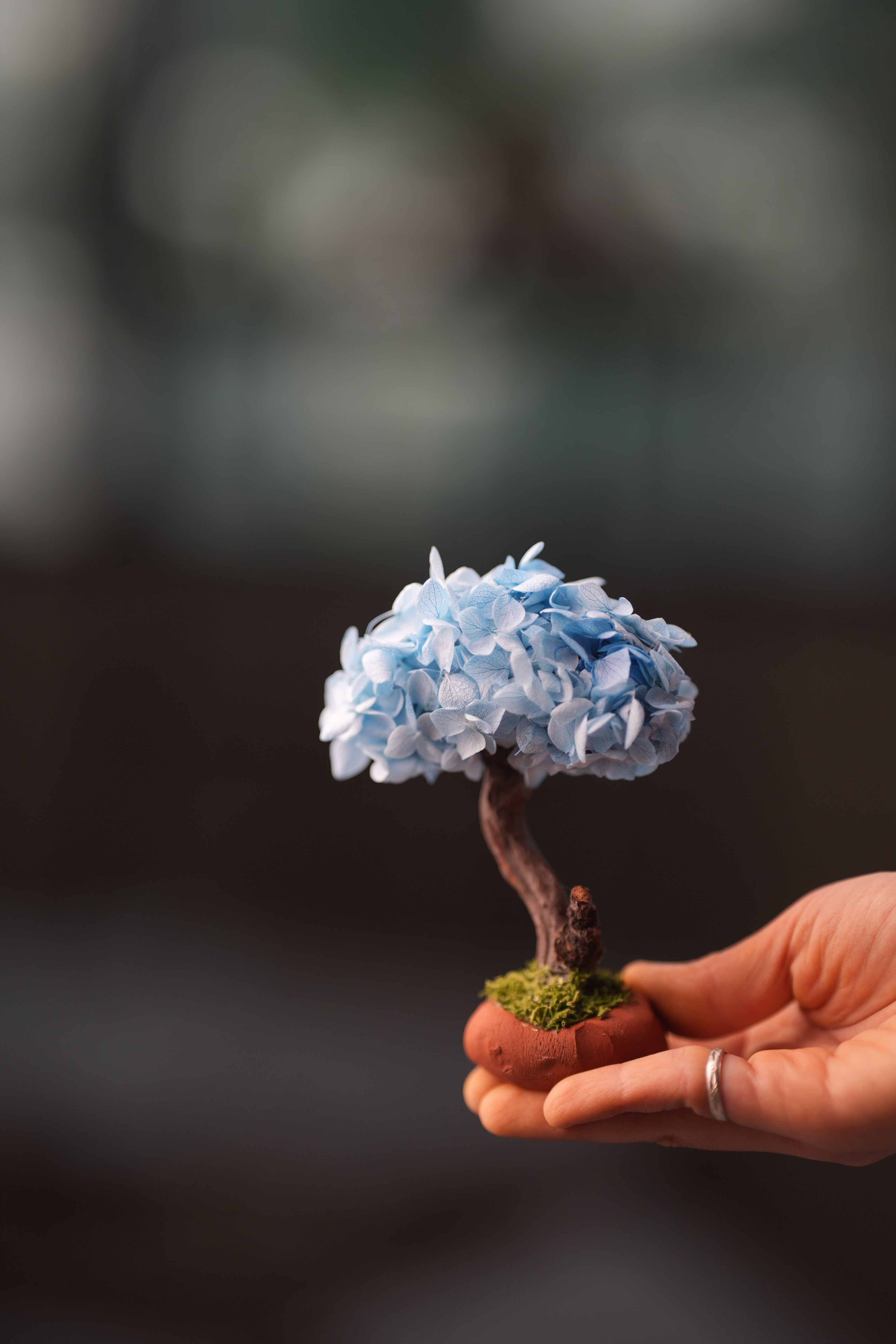 A Small Tree in the East - Purple Dream (Preserved Plants)