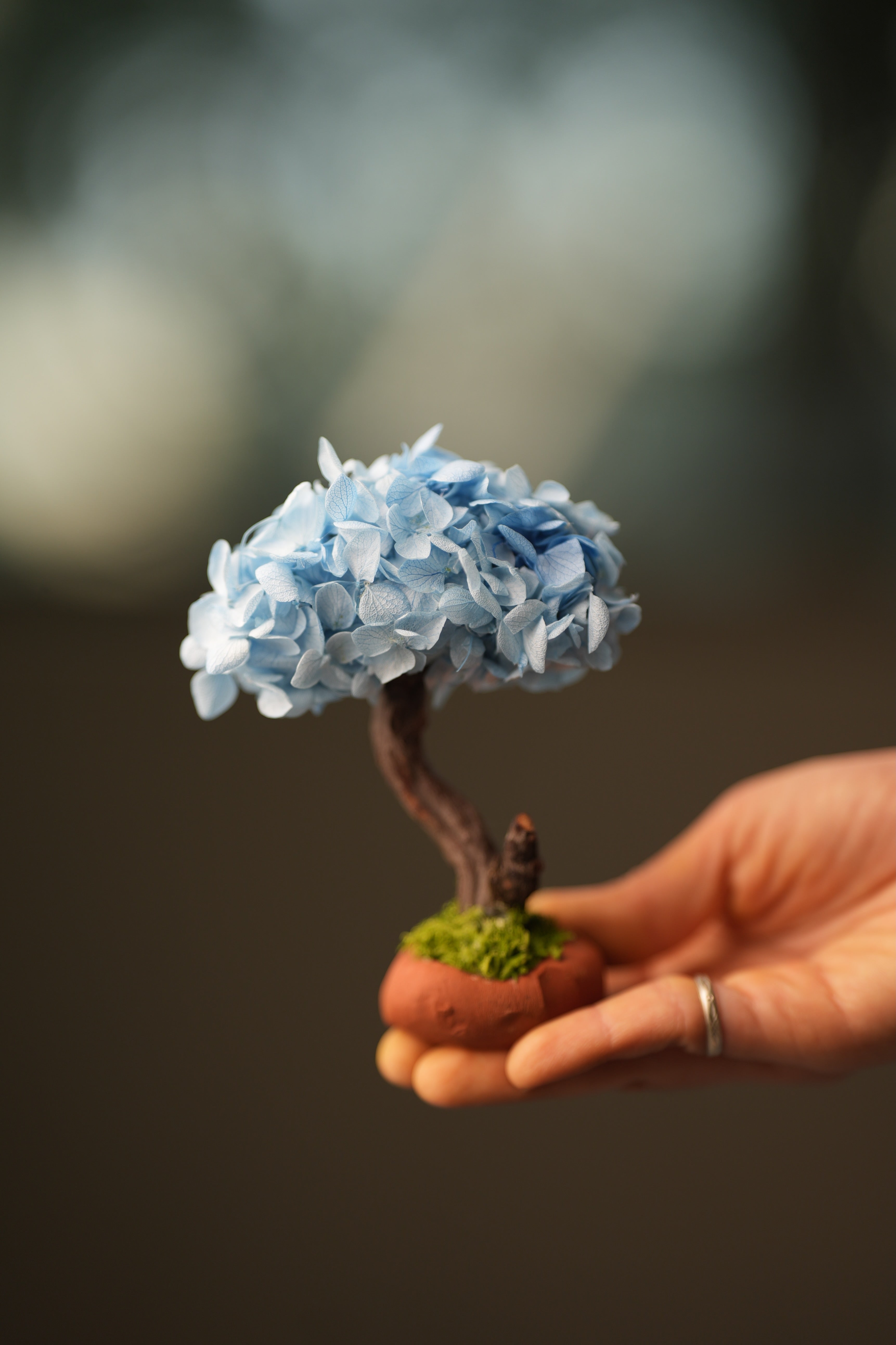 A Small Tree in the East - Purple Dream (Preserved Plants)
