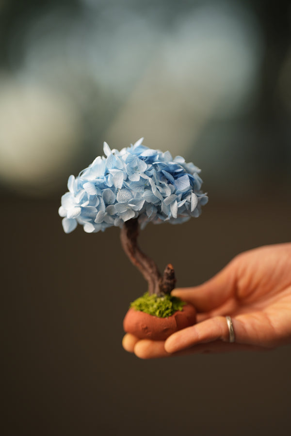 A Small Tree in the East - Purple Dream (Preserved Plants)