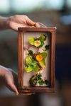 Children of the Forest - Wall Hanging edition - Smaller (Preserved Plants)