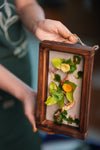 Children of the Forest - Wall Hanging edition - Smaller (Preserved Plants)