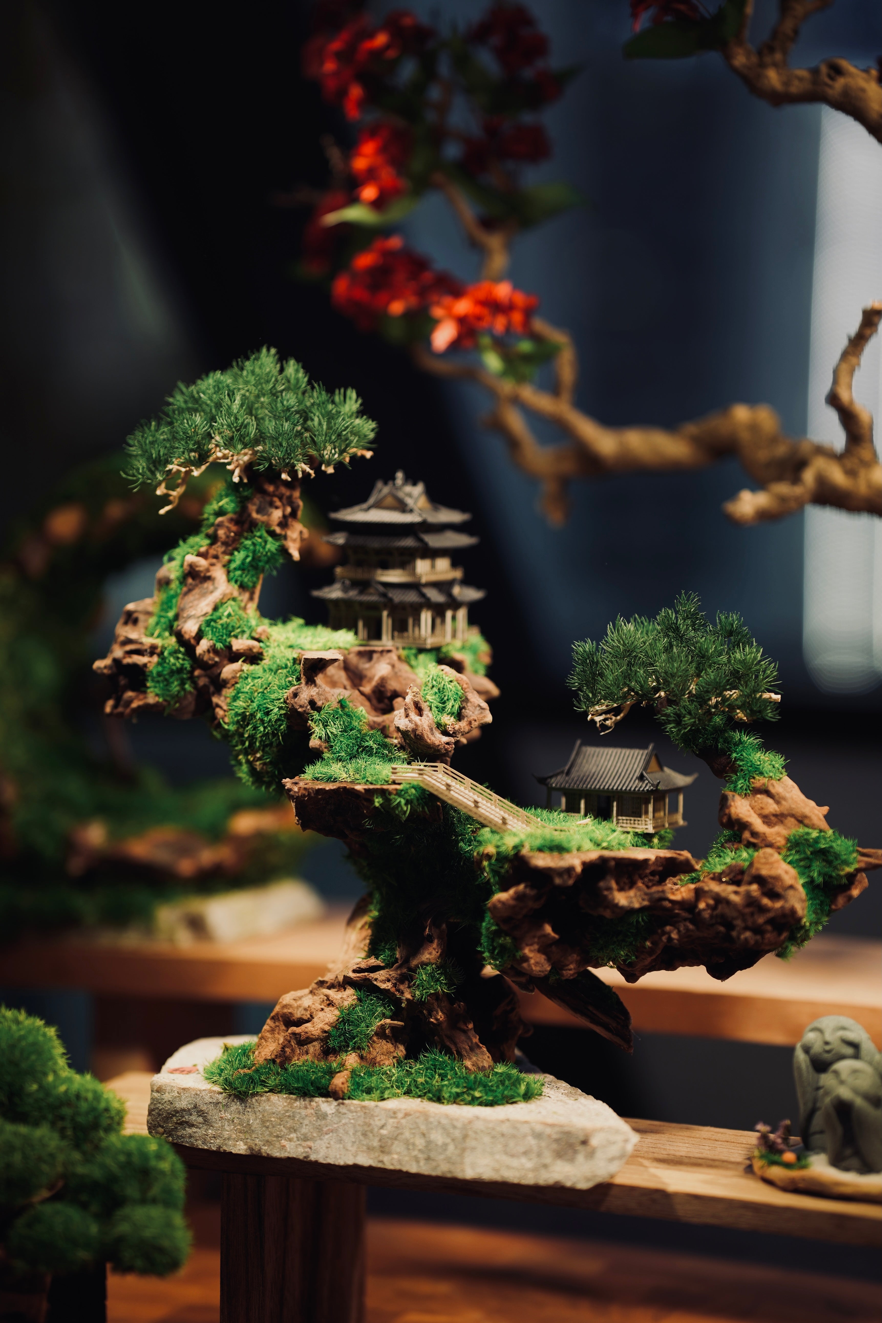 Blackwood Cliff (Preserved Plants)