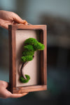 A Small Tree in the East - Wall Hanging edition (Preserved Plants)