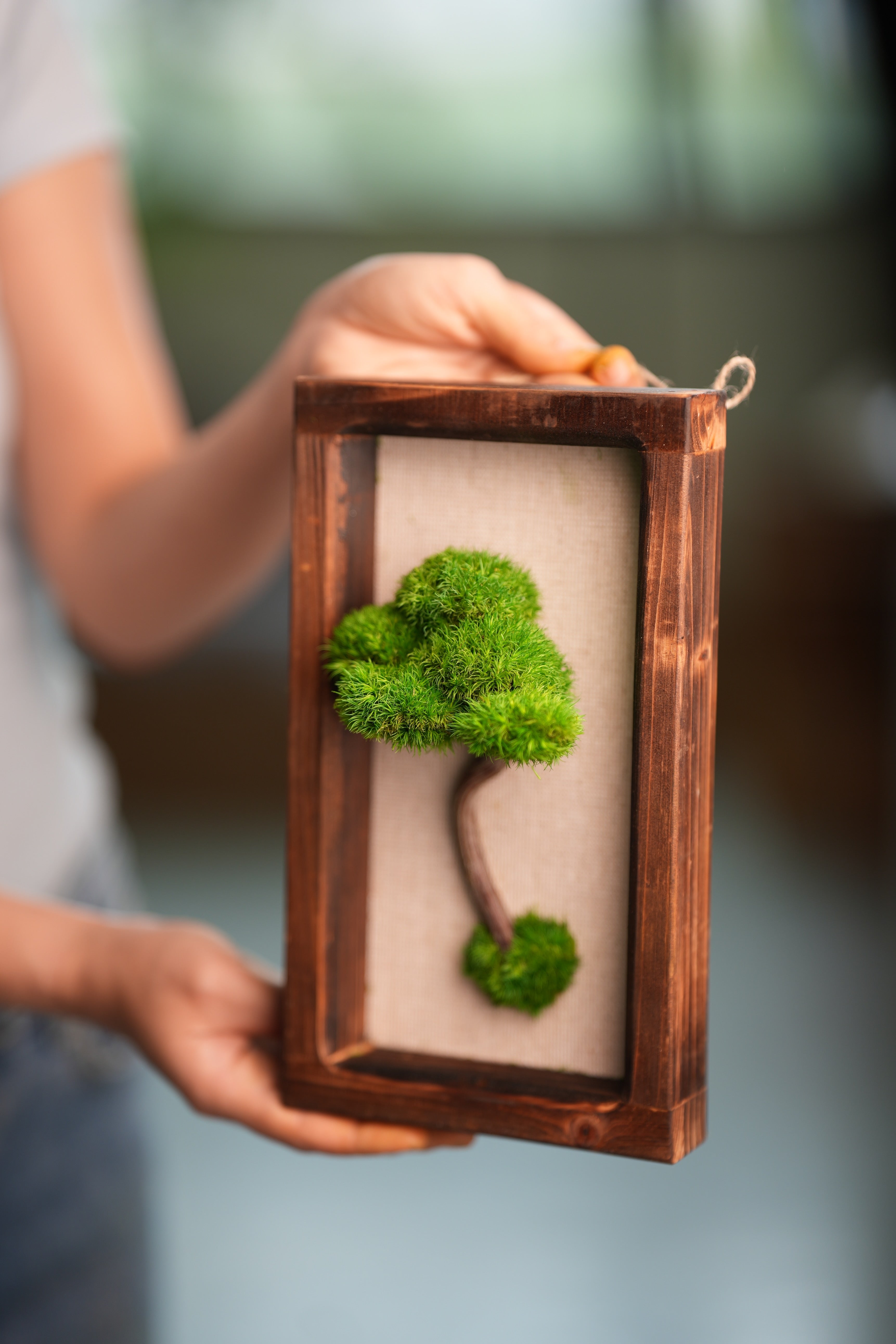 A Small Tree in the East - Wall Hanging edition (Preserved Plants)