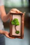 A Small Tree in the East - Wall Hanging edition (Preserved Plants)