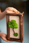 A Small Tree in the East - Wall Hanging edition (Preserved Plants)