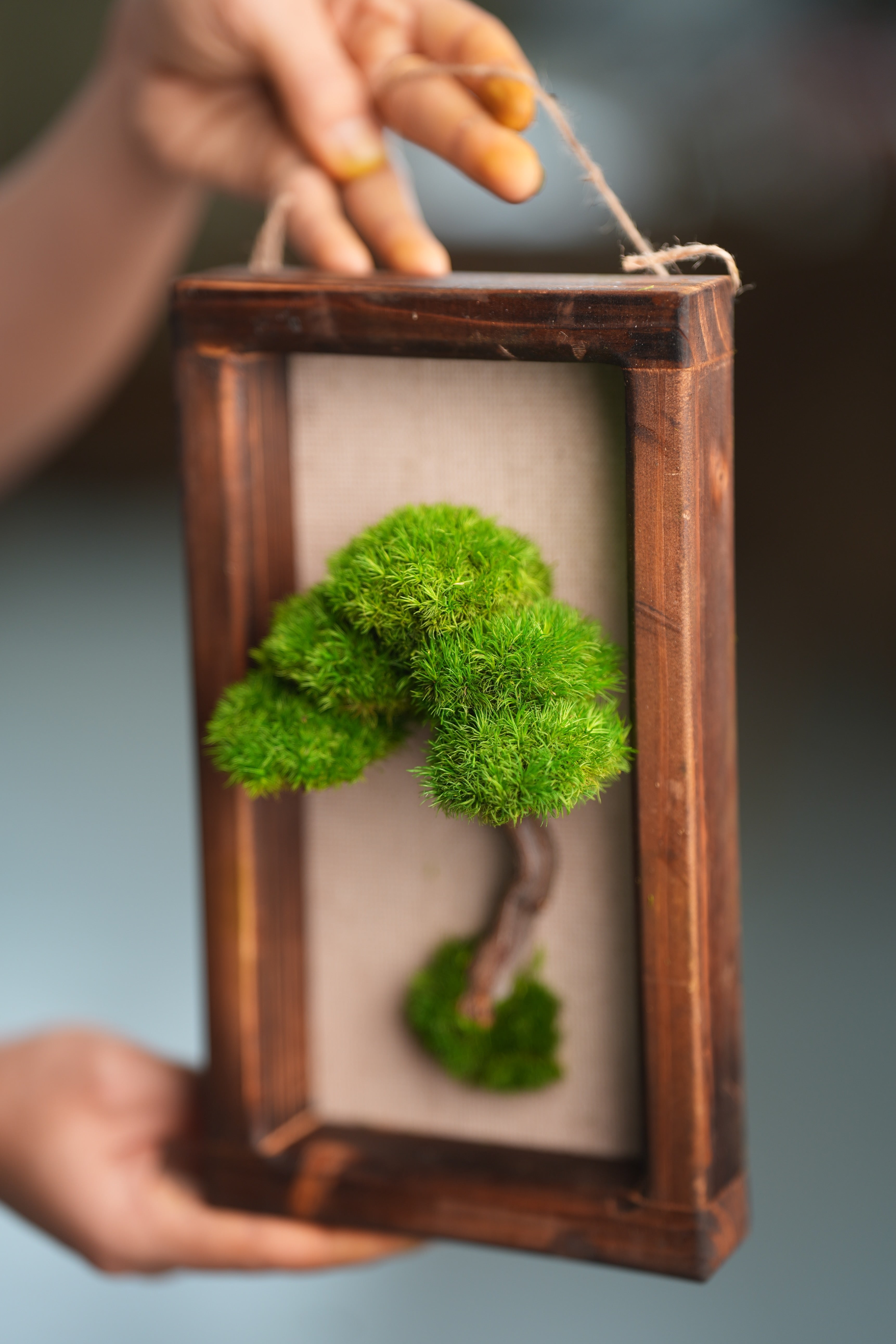 A Small Tree in the East - Wall Hanging edition (Preserved Plants)