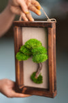 A Small Tree in the East - Wall Hanging edition (Preserved Plants)