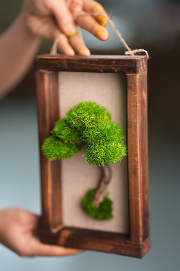 A Small Tree in the East - Wall Hanging edition (Preserved Plants)