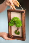 A Small Tree in the East - Wall Hanging edition (Preserved Plants)