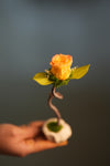 Children of the Forest - Jupiter - Smaller (Preserved Plants)