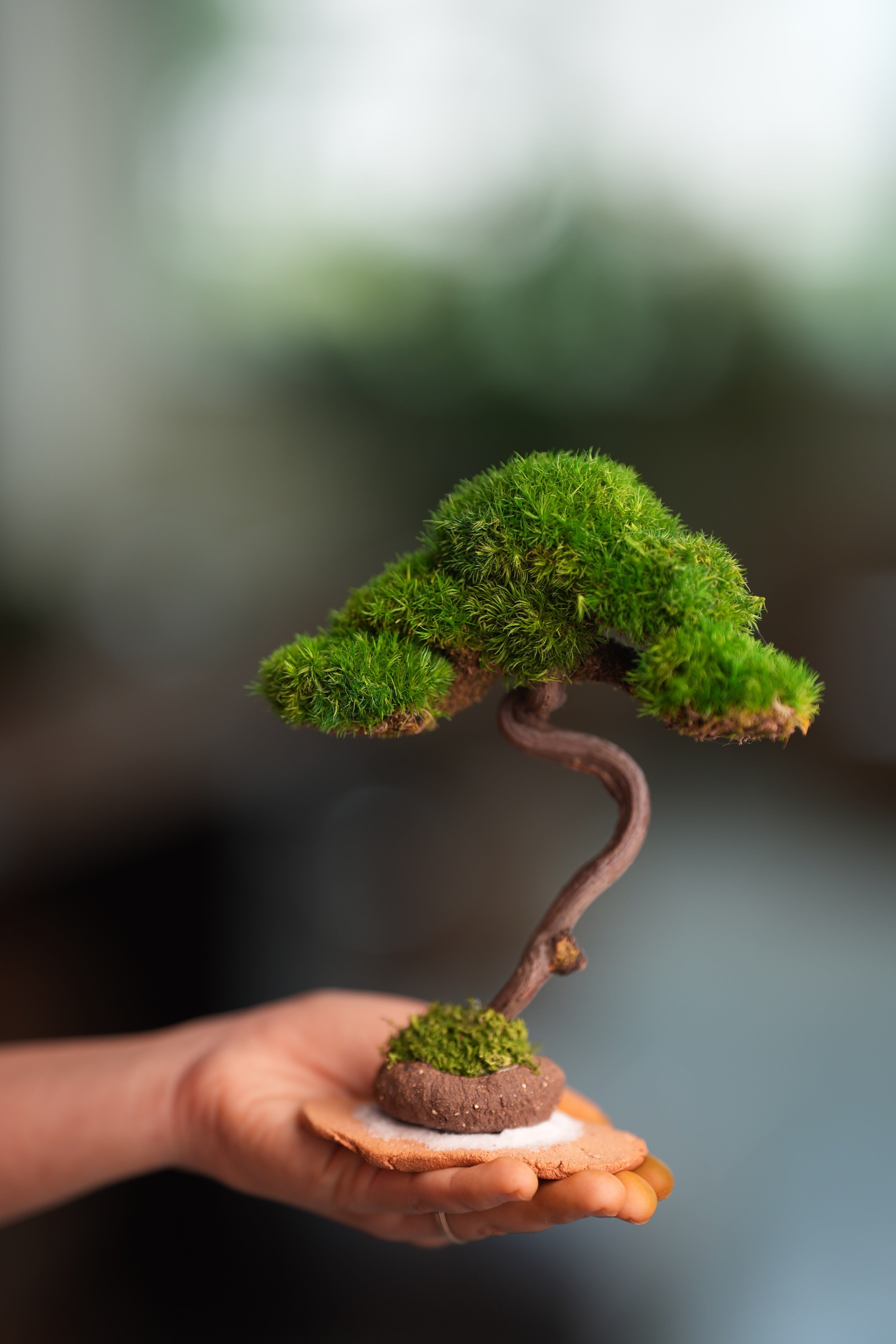 Light in the Garden - Rosewood (Preserved Plants)