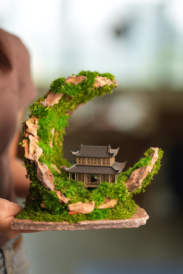 Half-Moon Bay - Crescent - Cultured Garden (Preserved Plants)