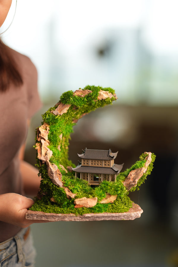 Half-Moon Bay - Crescent - Cultured Garden (Preserved Plants)