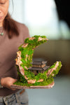 Half-Moon Bay - Crescent - Cultured Garden (Preserved Plants)