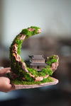 Half-Moon Bay - Crescent - Cultured Garden (Preserved Plants)