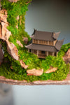 Half-Moon Bay - Crescent - Cultured Garden (Preserved Plants)