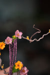 Children of the Forest - Grace (Preserved Plants)