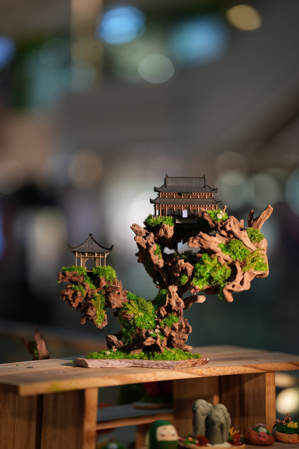 Blackwood Cliff (Preserved Plants)