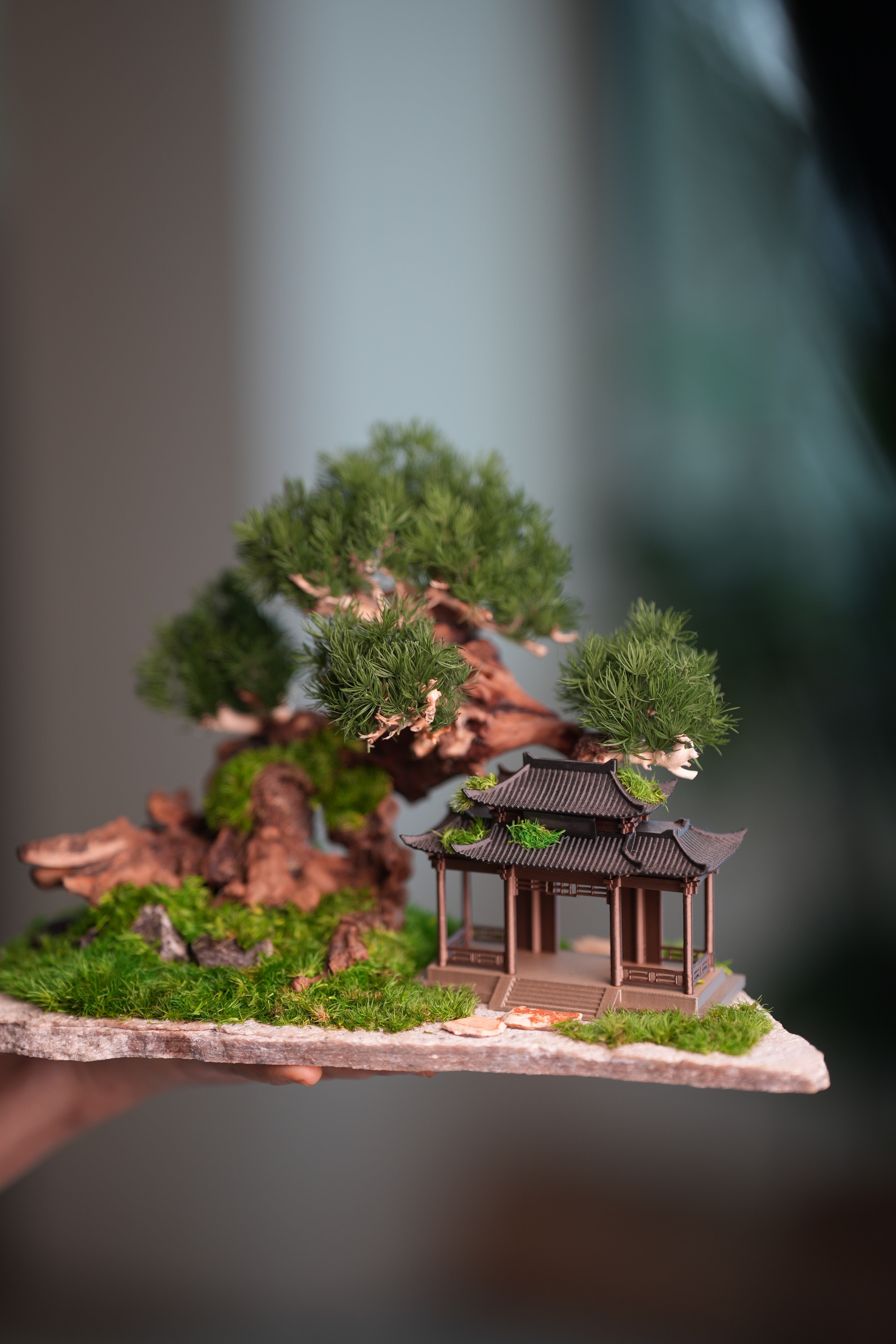 Blackwood Cliff - A Path in the East - Windy Green (Preserved Plants)