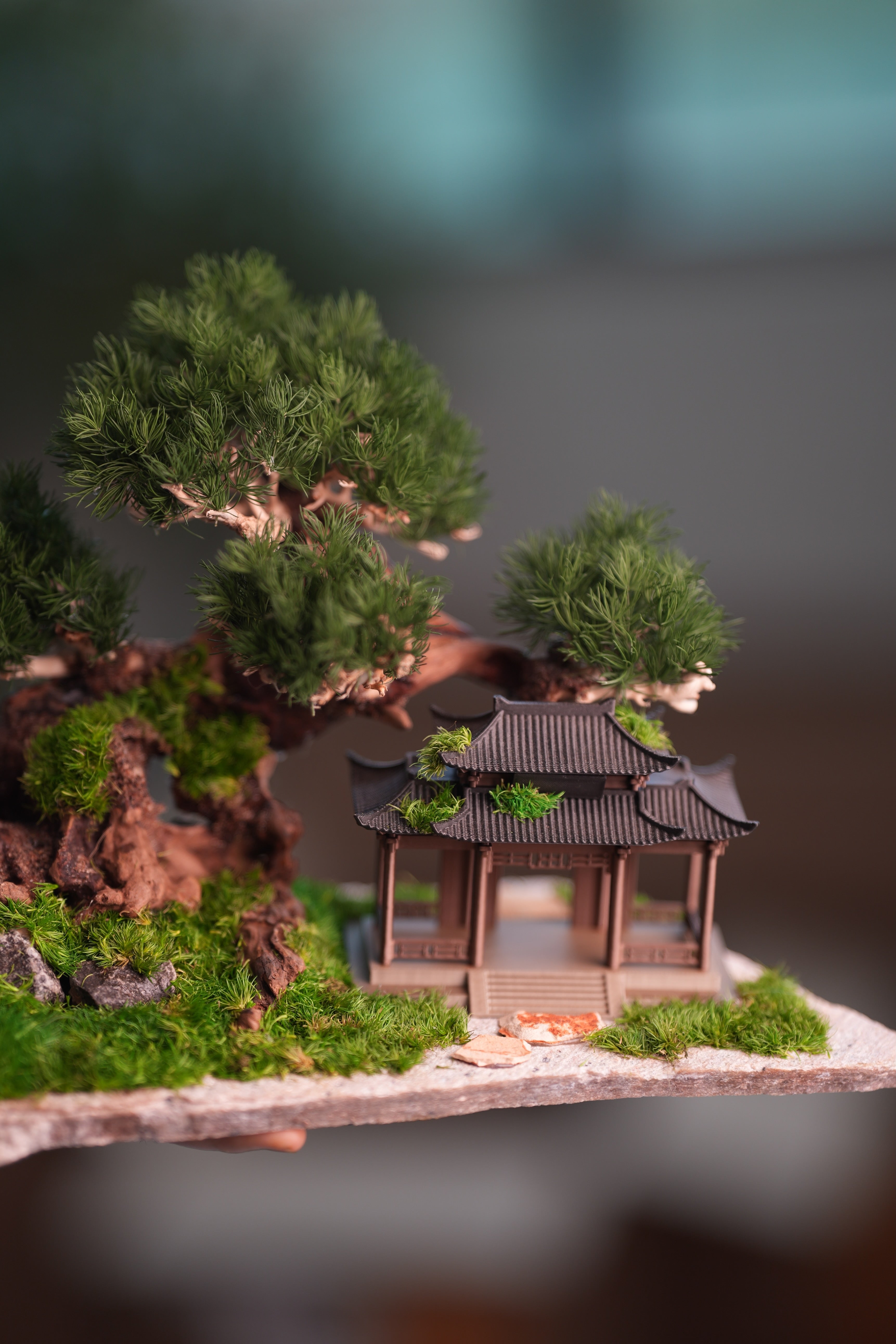 Blackwood Cliff - A Path in the East - Windy Green (Preserved Plants)