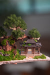 Blackwood Cliff - A Path in the East - Windy Green (Preserved Plants)
