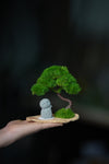 A Small Tree in the East - Classic - Journeyman (Preserved Plants)