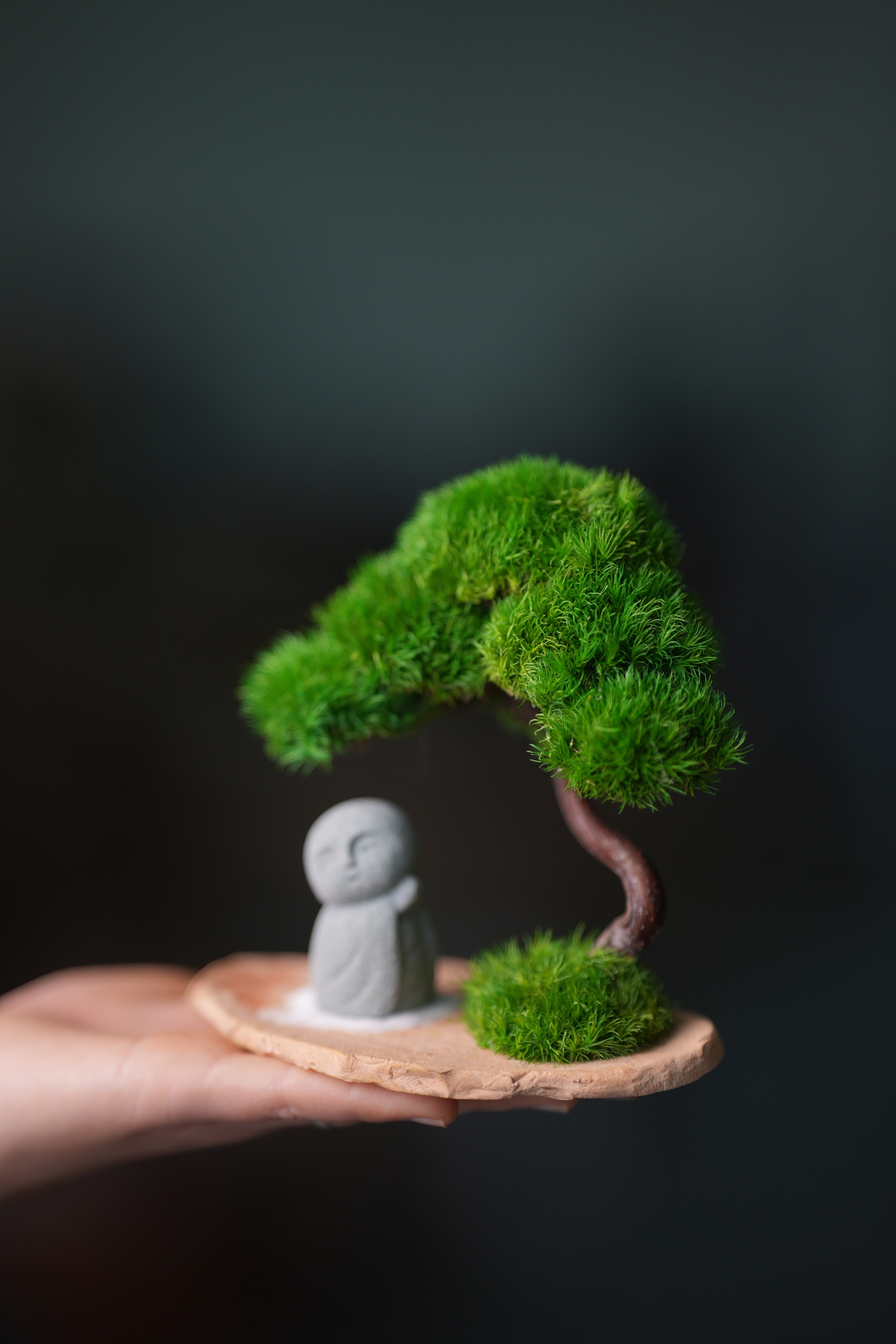 A Small Tree in the East - Classic - Journeyman (Preserved Plants)