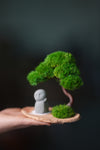 A Small Tree in the East - Classic - Journeyman (Preserved Plants)